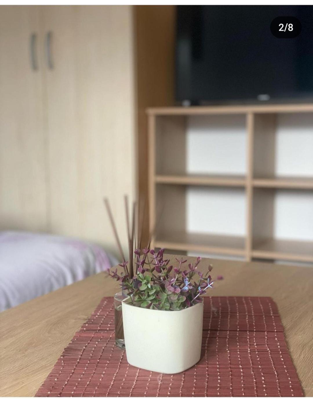 Guest House Zarnovel Palace Ohrid Ngoại thất bức ảnh